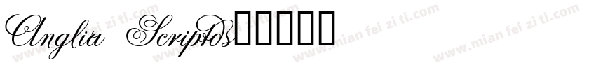 Anglia Script字体转换